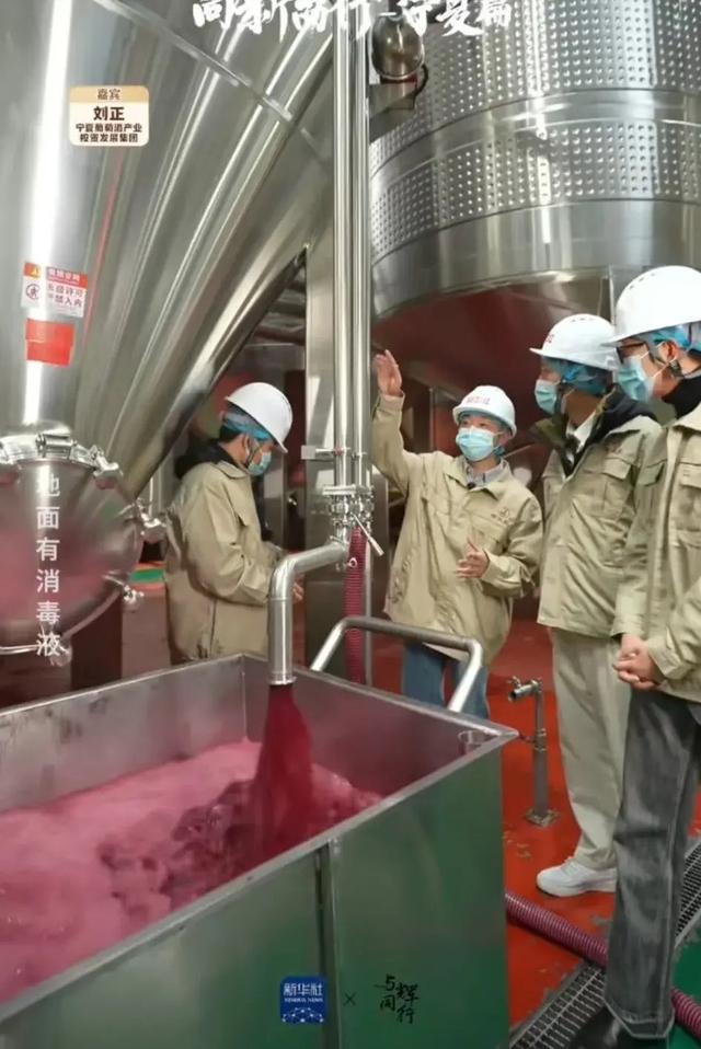 隨董宇輝寧夏行 探秘葡萄酒的誕生，品味杯中人生百味